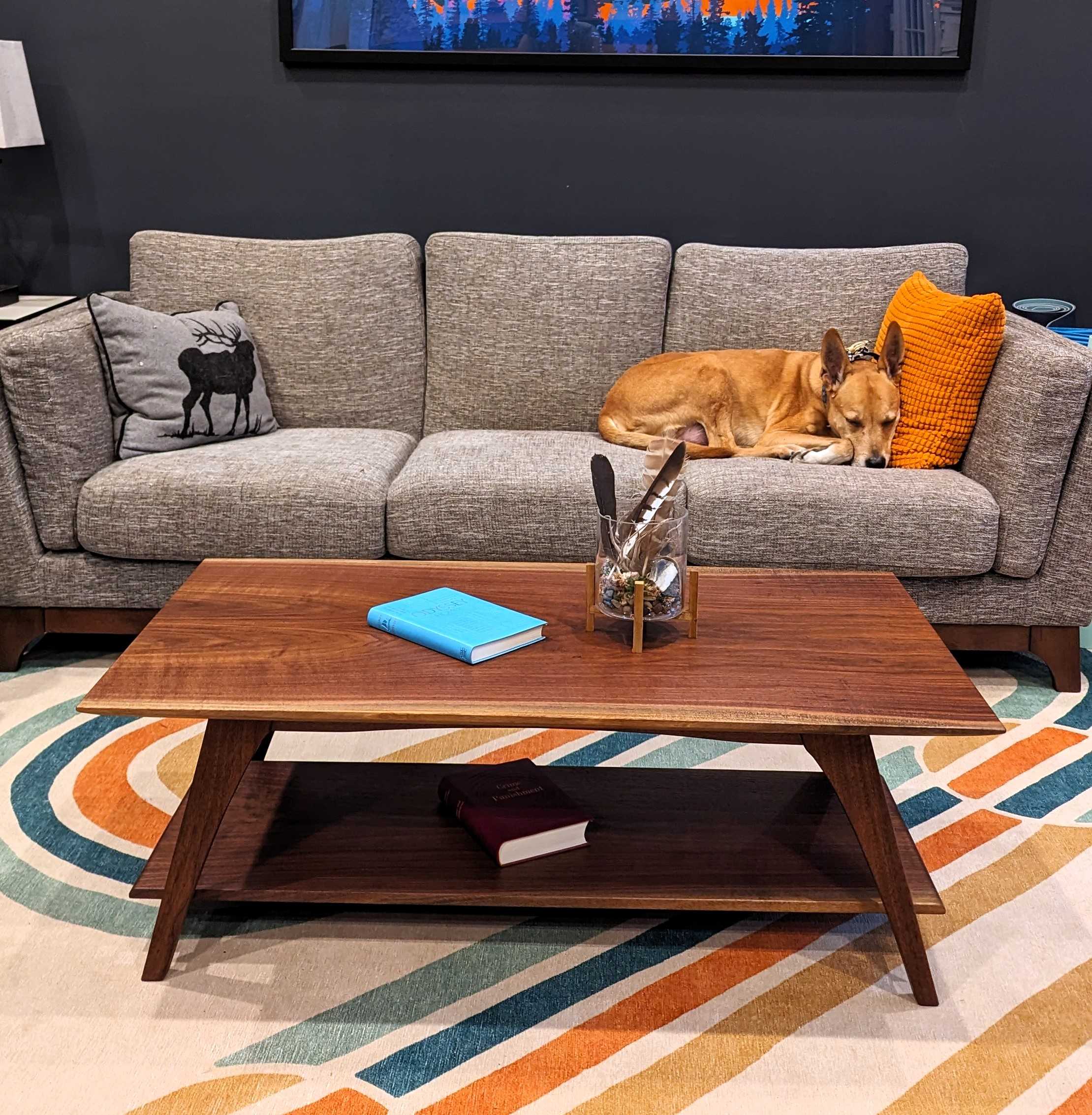 ATLAS_coffee_table_with_dog